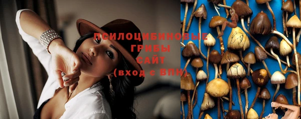spice Гусев