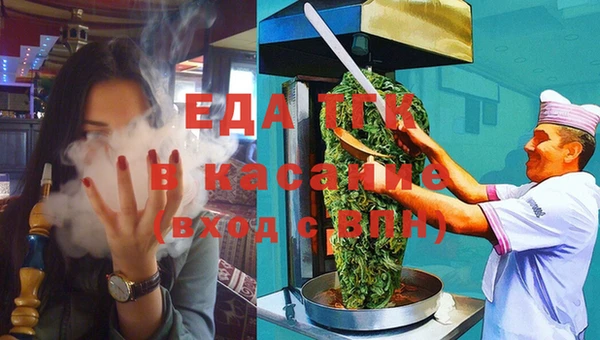 spice Гусев