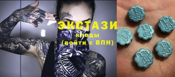spice Гусев