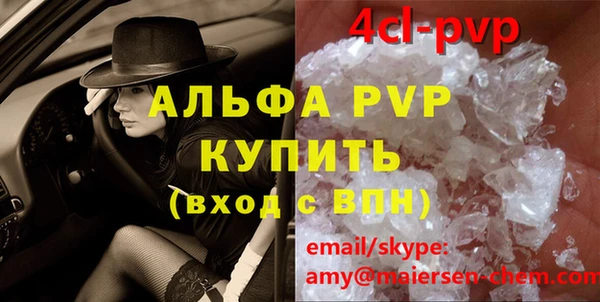 spice Гусев