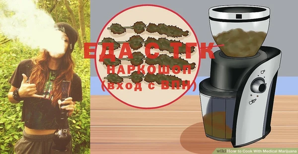 spice Гусев