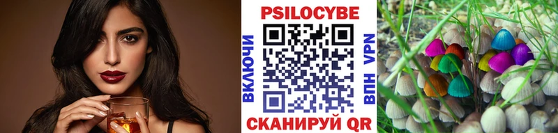 Купить где  Черногорск  Псилоцибиновые грибы мухоморы 